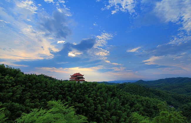 益陽竹海.jpg 益陽竹海.jpg