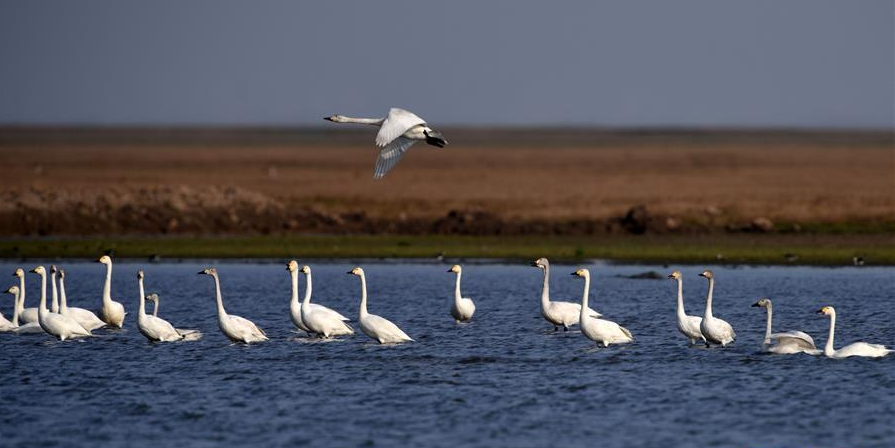 北冰、蔡文?。宏P(guān)于推動(dòng)環(huán)洞庭湖區(qū)旅游業(yè)高質(zhì)量發(fā)展的思考